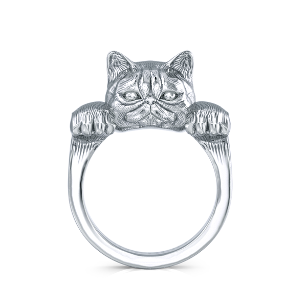 Exotic Short Hair Persian Cat Snuggle Ring