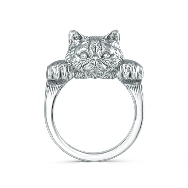 Fluffy Persian Cat Snuggle Ring