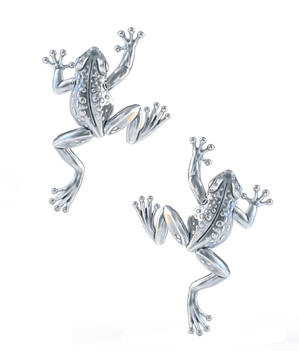 Tiny Climbing Frog Earring Studs
