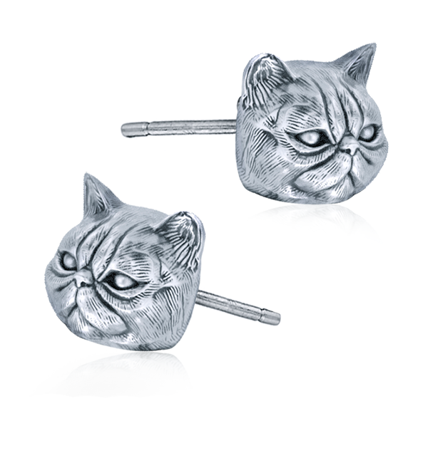 Exotic Short Hair Persian Cat Breed Face Earring Studs