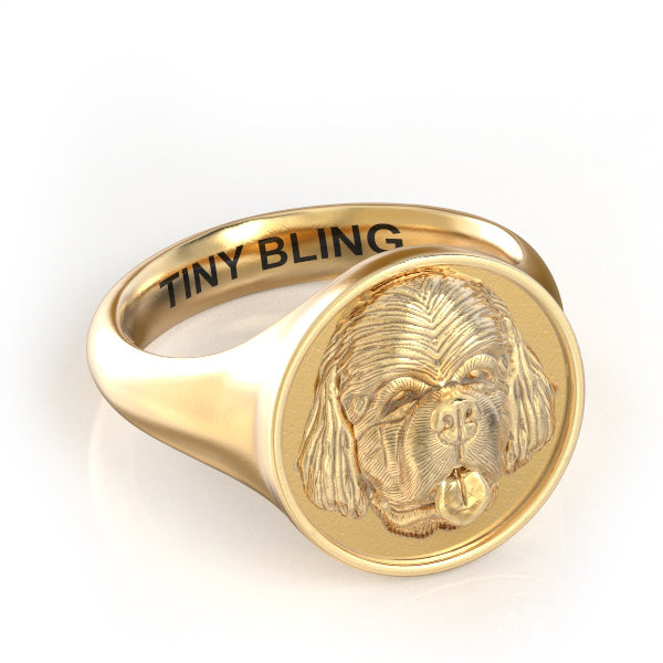 Newfoundland Classic Round Signet Ring - Tiny Bling